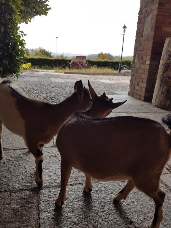 Agriturismo la Cavallina Monguzzo Esterno foto